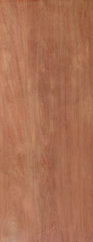 JB Kind Internal Ply Flush Door